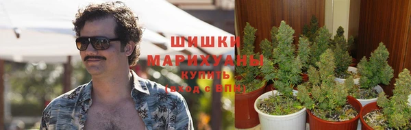 шишки Армянск