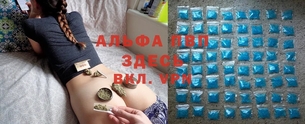 шишки Армянск