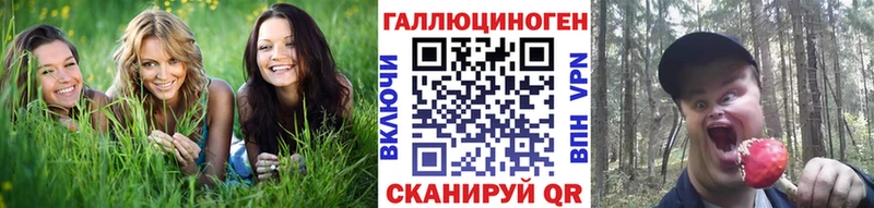 закладка  Лихославль  Галлюциногенные грибы мицелий 